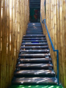 Bamboo stairs